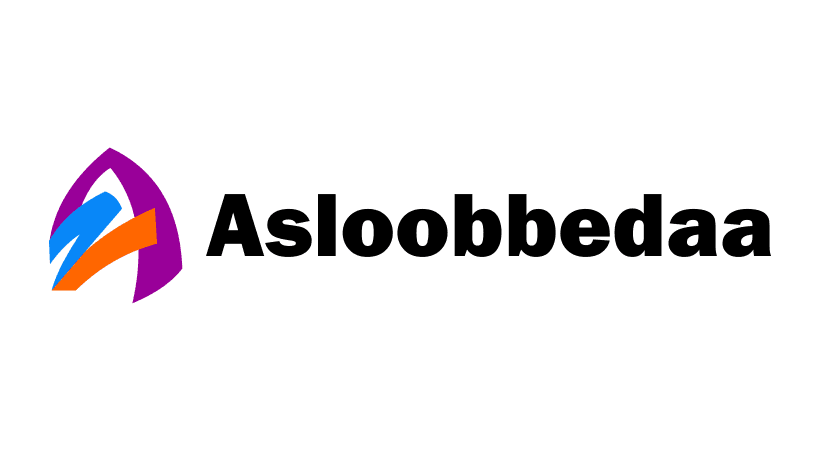asloobbedaa.com